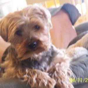 Meet your Posher, Phyllis